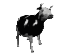 Dancing_cow_animated emote