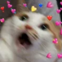 quemaneiro emote
