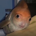 emoji_37 Emote