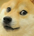 galen emote