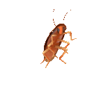 emoji_78 emote