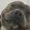 emoji_10 emote