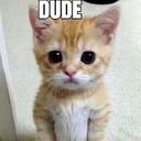 DUDE emote