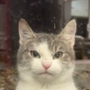 tura Emote