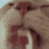 Lxr emote