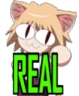 V_real emote