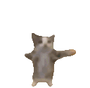 kitku emote