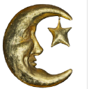 78838moon emote