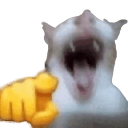 laugh emote