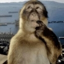 emoji_10 Emote
