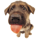 MLEEHHHH emote