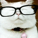 Cat_Bruh Emote