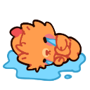 pombon_cry Emote