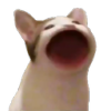 7643poppincat Emote