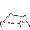 BONGO emote