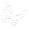 butterfly Emote