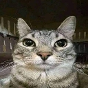 Lairameconsume emote
