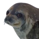 annoyedseal emote