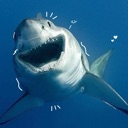 sillygreatwhite emote