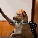 emoji_130 Emote