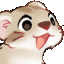 ferret_awesone emote
