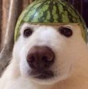 SH_Vexon emote