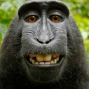 Monky Emote
