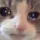 1125079467832922112 emote