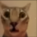 emoji_8 Emote