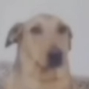 emoji_57 Emote