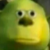 Bruh Emote