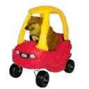 DogeKidCar emote