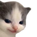 cathehehe Emote