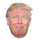 trumpsmug Emote