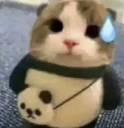 1_oopsie Emote