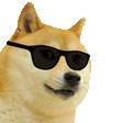 cooldoge Emote
