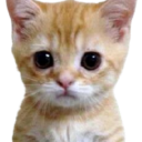 emoji_22 emote