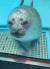 ezgif2eee38cb98bcbb2 emote