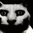 toico emote