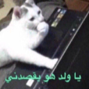 __ emote
