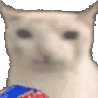 emoji_113 Emote