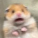 shocki Emote