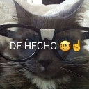 deecho Emote