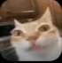agh Emote