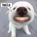n68_hello emote