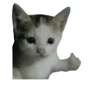ThumbsUpcat1 Emote