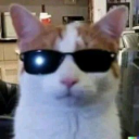 cool emote