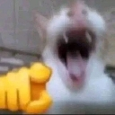 emoji_27 emote