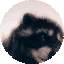 pedro emote