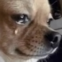 Chorddomujhe Emote